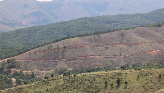 Şenyayla’daki ağaç kıyımı Meclis gündeminde: Kesimlere kim izin veriyor?