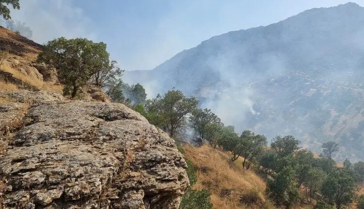 Türkiye tarafından Amêdiyê köyleri bombalandı