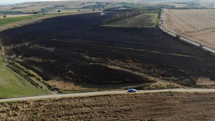 Çatalca’da 200 dönümlük buğday tarlası yandı