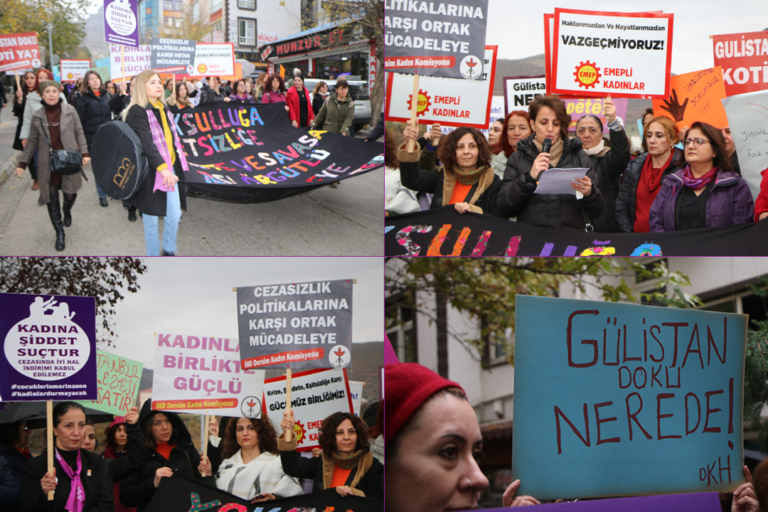 Dersim’de 25 Kasım mitingi: Gülistan Doku bulunsun, failler cezalandırılsın