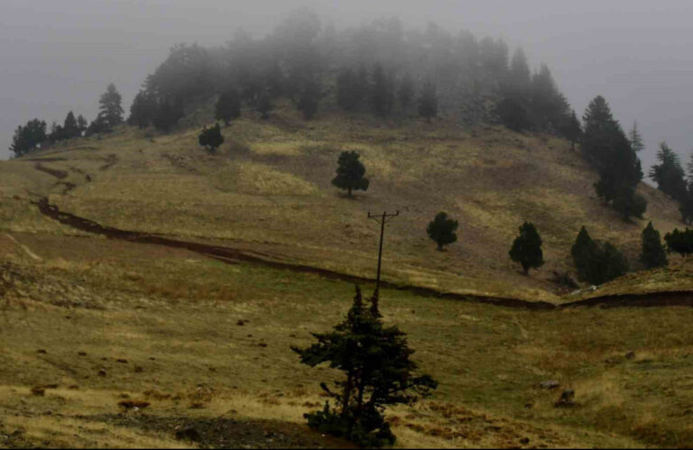 Asrın felaketinin kırsalda açtığı iz aylar sonra görüntülendi