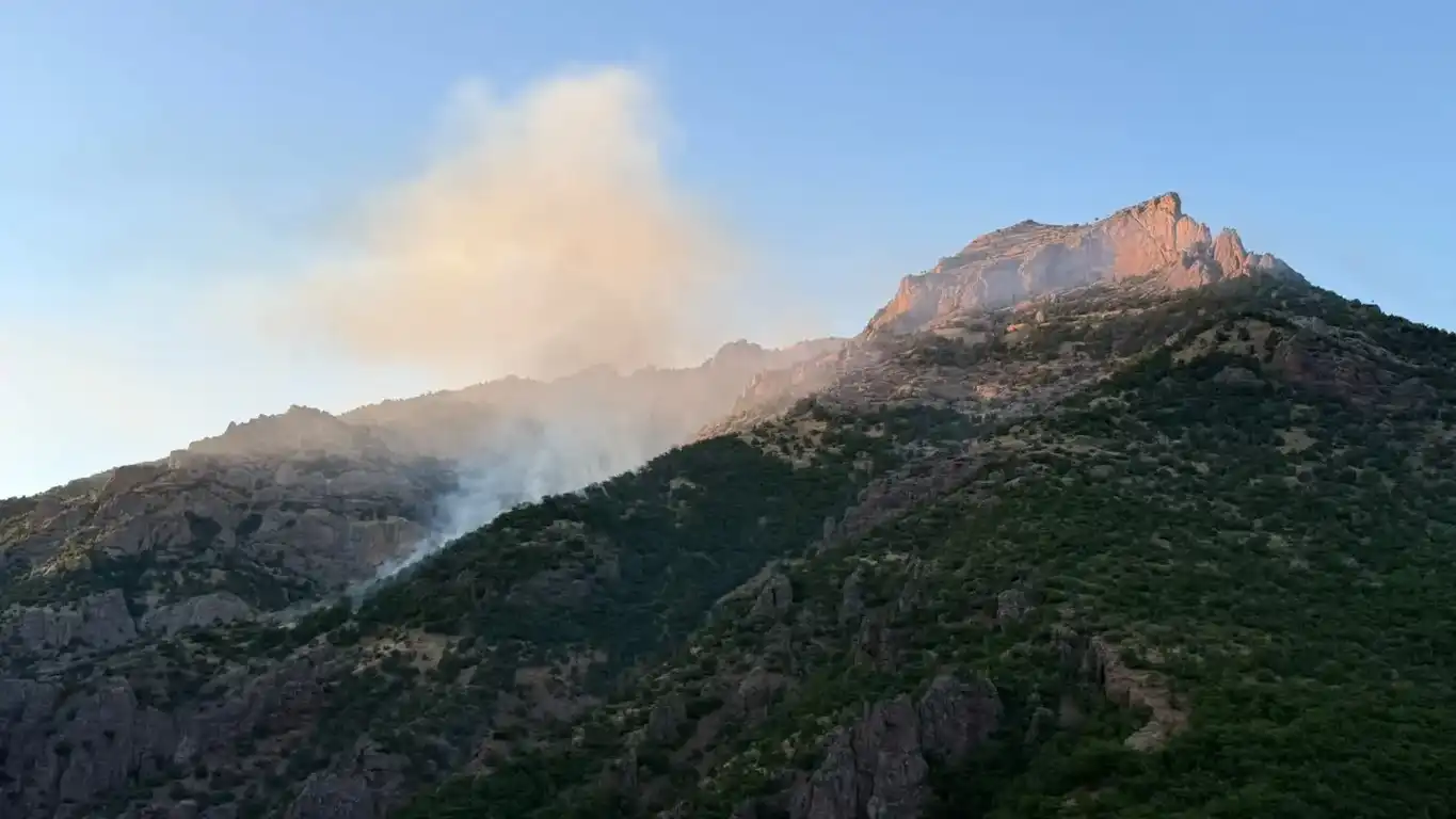 Dersimde orman yangınına müdahale sürüyor