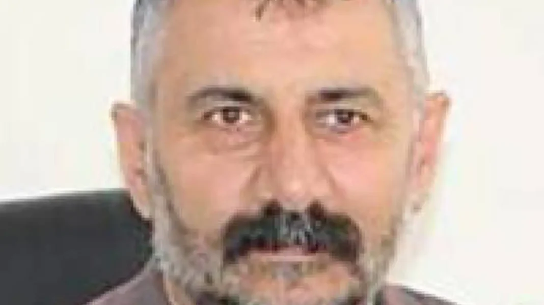 Çam: Kamu kaynaklarının kullanımı ve vicdan