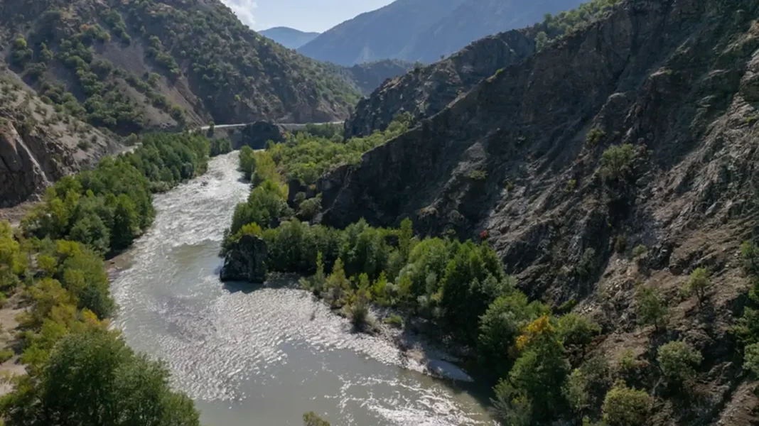 Dersim'deki Munzur Çayı, yaban hayatına yaşam alanı sunuyor